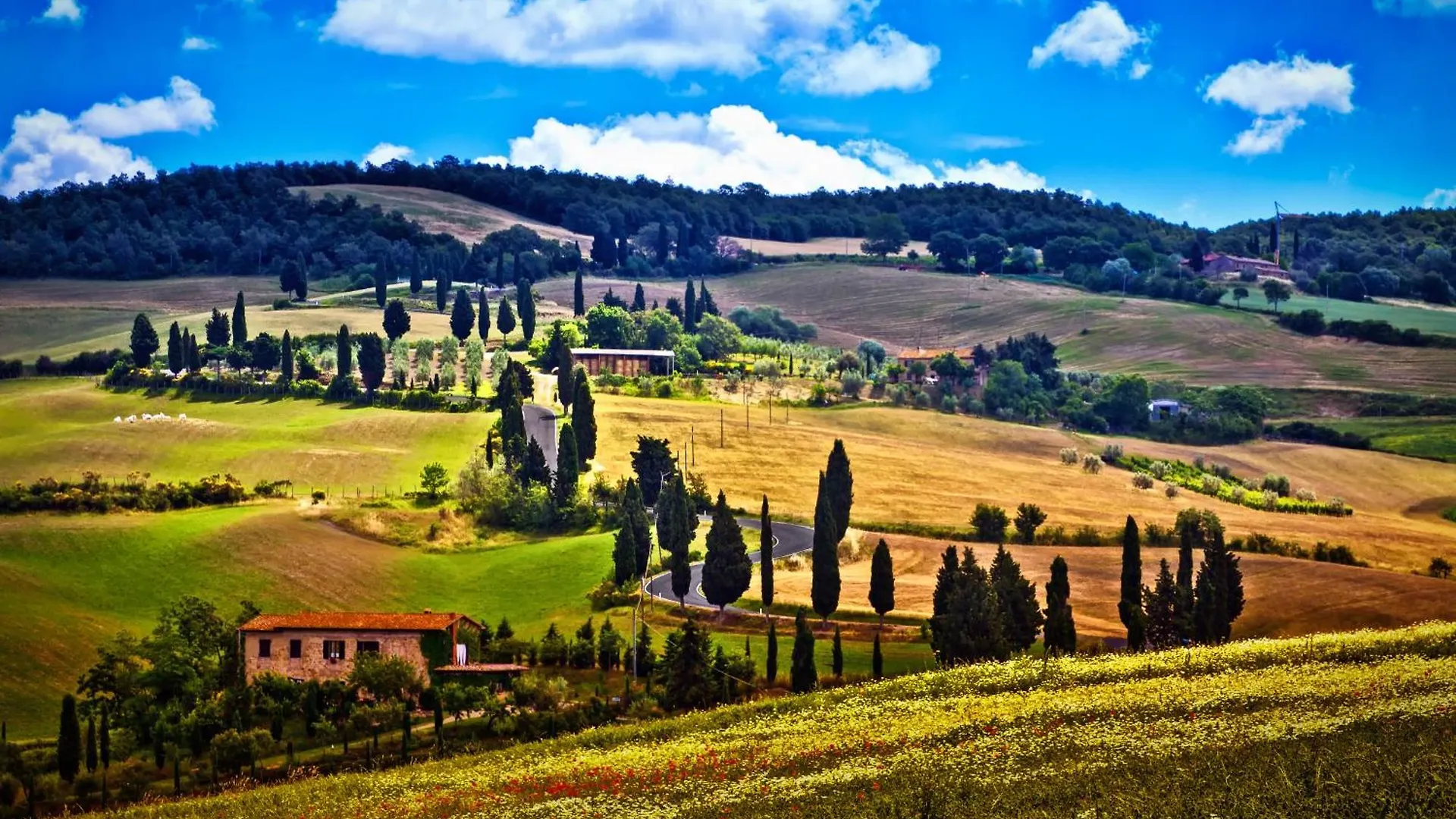 Appartamento Sole Siena Apartment
